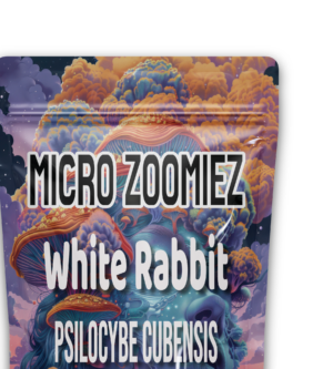 White Rabbit Psilocybe Cubensis